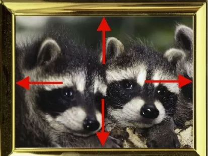 Fotos pimpen kostenlos