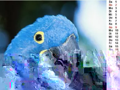 Fotos bearbeiten kostenlos