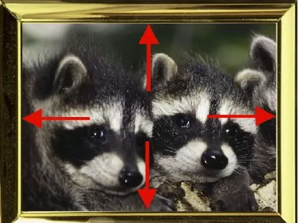 Gratis jetzt Bearbeitungsprogramm für Fotos gesucht
